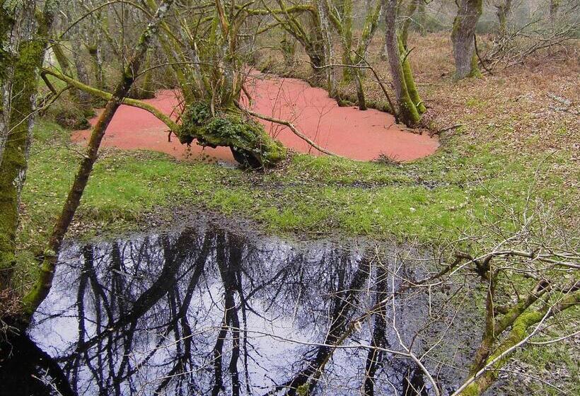 Fervenza Casa Grande & Restaurante