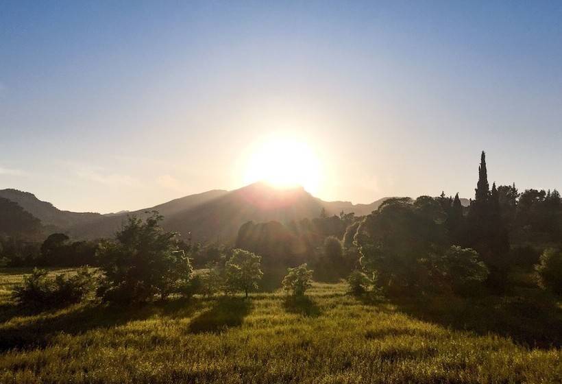 Finca Hotel Son Pont