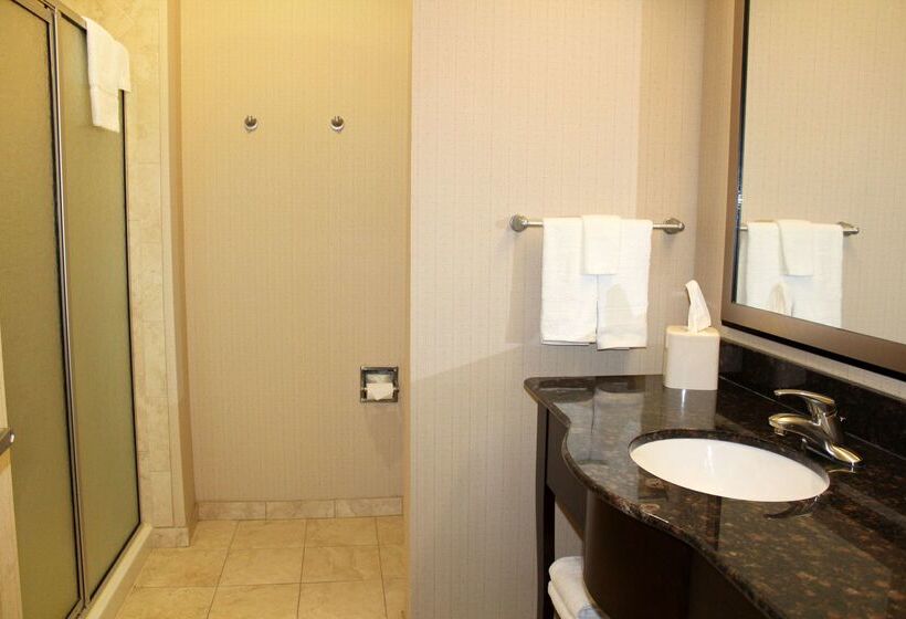 Hampton Inn & Suites Mount Pleasant