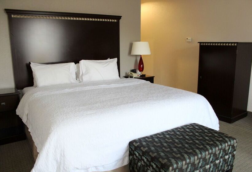 Hampton Inn & Suites Mount Pleasant