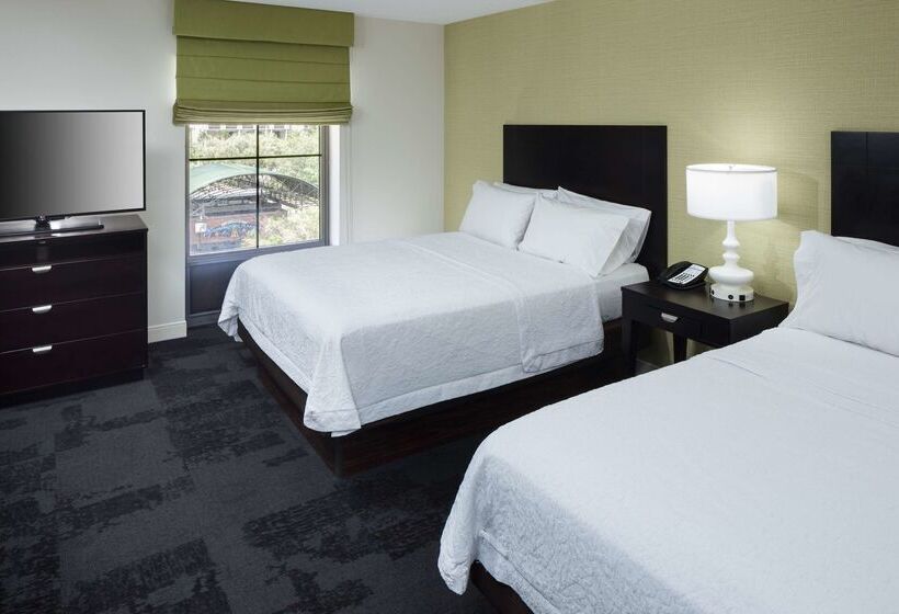 Hampton Inn & Suites Gainesvilledowntown