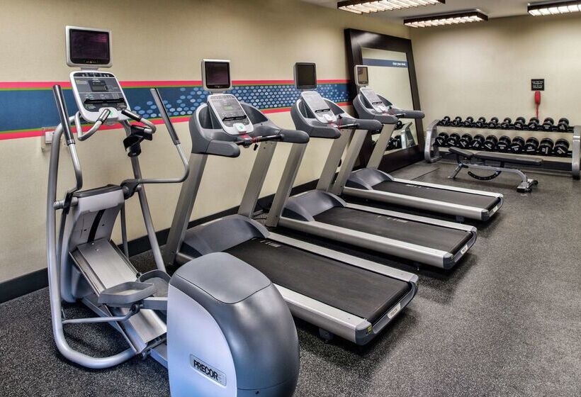 Hampton Inn & Suites Rifle