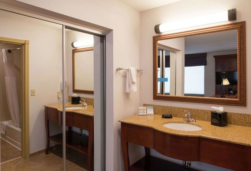 Hampton Inn & Suites Rifle