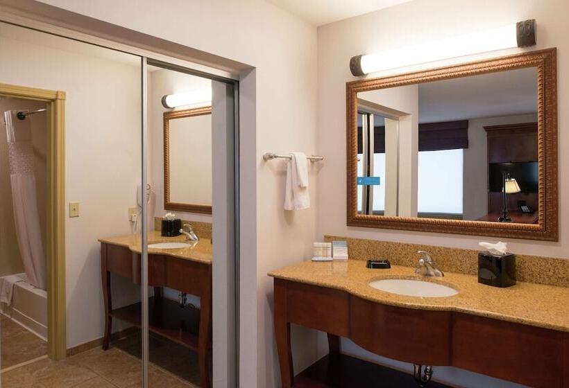 Hampton Inn & Suites Rifle