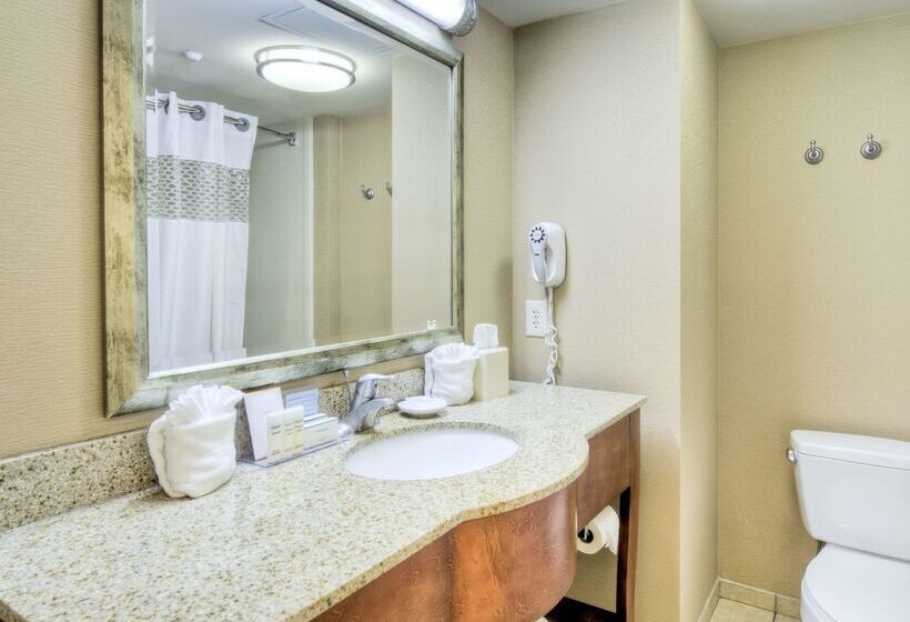 Hampton Inn Wilmingtonuniversity Area/smith Creek Station