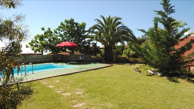 Homelike Century Nature House