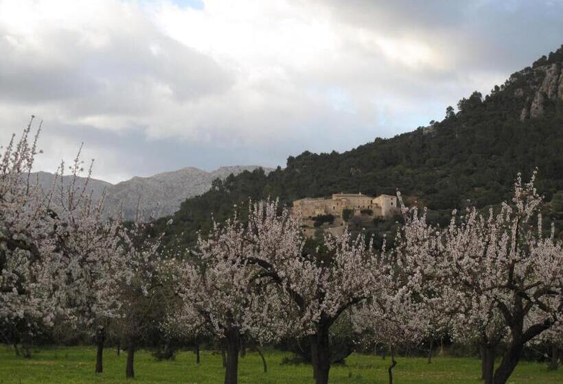 酒店 Agroturismo Filicumis By Mhr