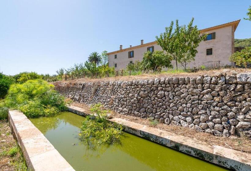 酒店 Agroturismo Filicumis By Mhr