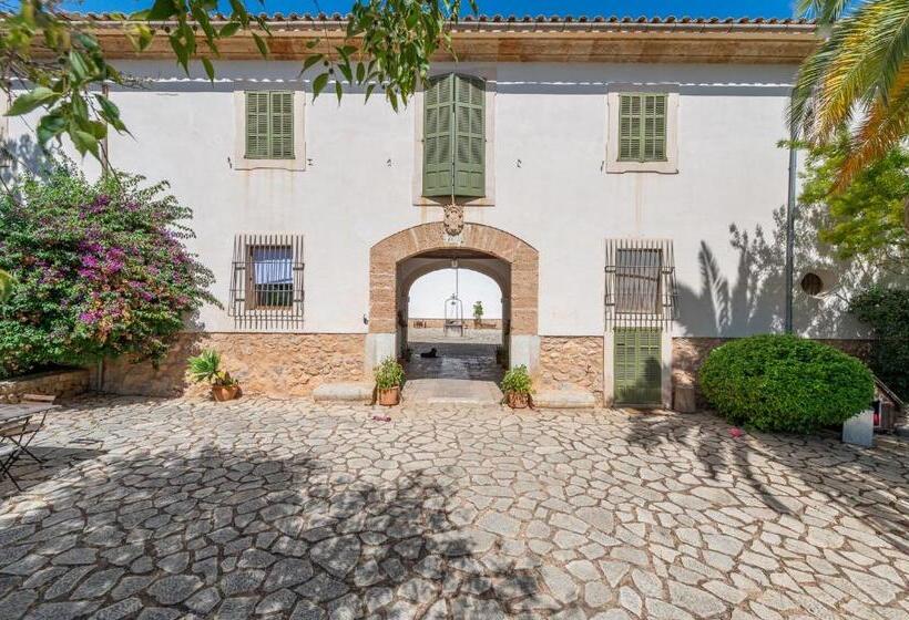 酒店 Agroturismo Filicumis By Mhr