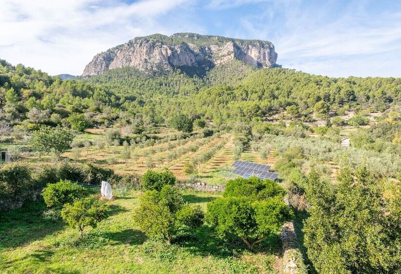 酒店 Agroturismo Filicumis By Mhr