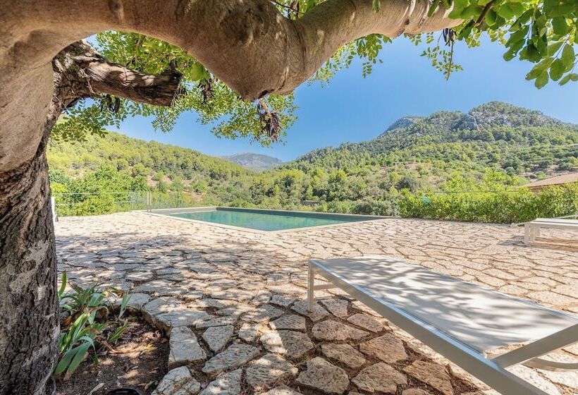 酒店 Agroturismo Filicumis By Mhr