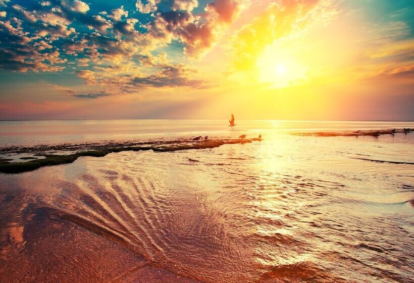 호텔 Amantra Resort And Spa