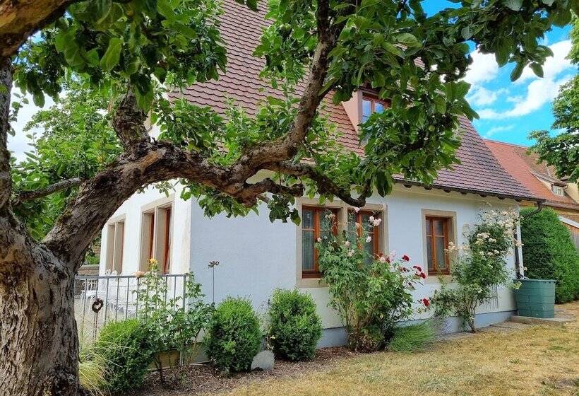 Boutiquehotel Goldene Rose   Self Check In