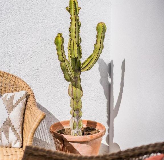 酒店 Casa Del Maco