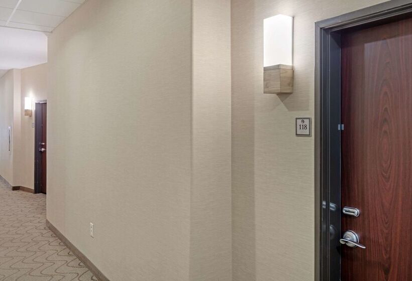 酒店 Comfort Suites West Dallas Cockrell Hill