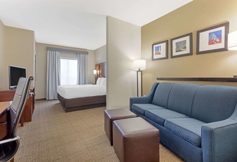 酒店 Comfort Suites West Dallas Cockrell Hill