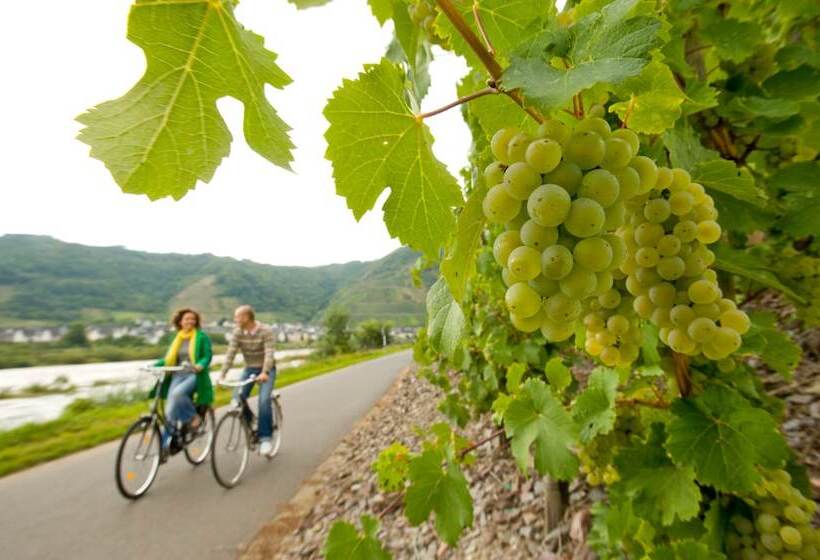 هتل Deutscher Hof