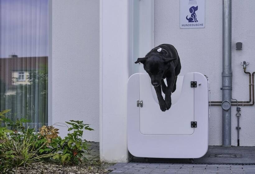 호텔 Dorint Resort Baltic Hills Usedom