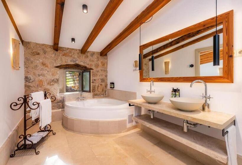 ホテル Finca Albellons