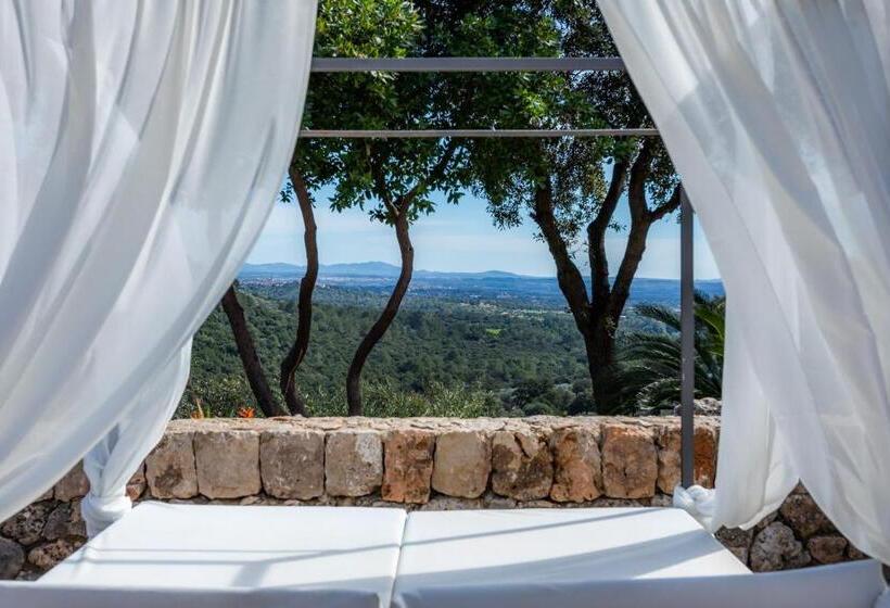 ホテル Finca Albellons