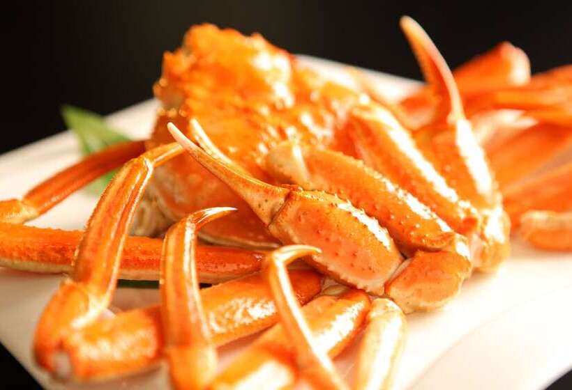 בית מלון כפרי Futaba