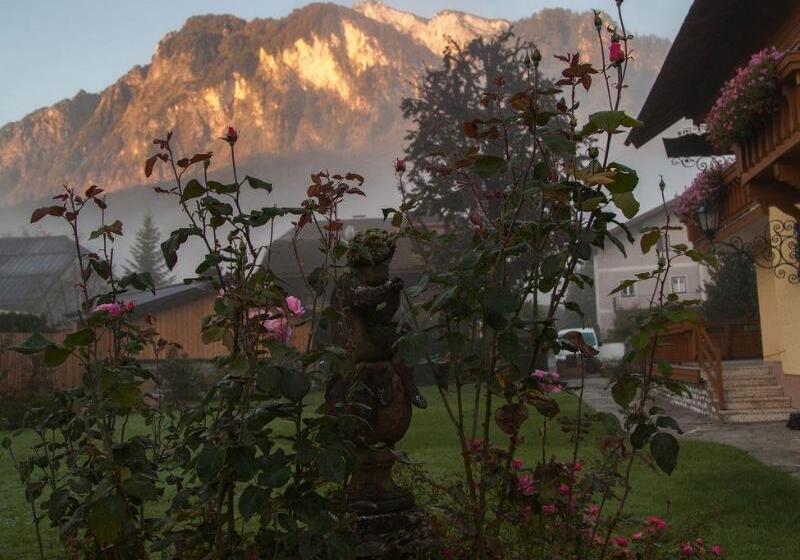 Garten   Hotel Sallerhof