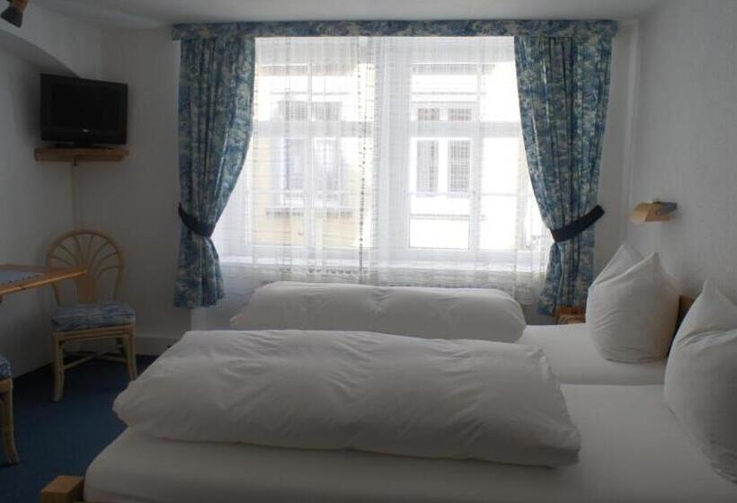 ホテル Gasthof Inselgraben Garni