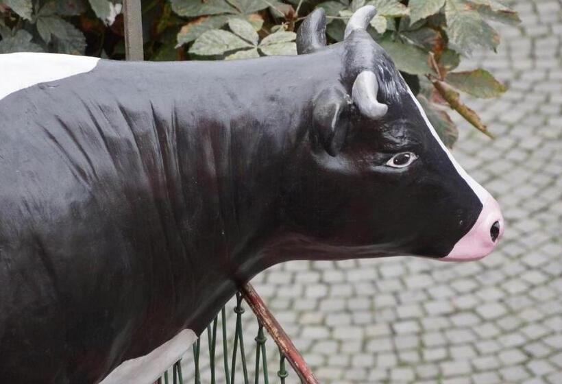 ホテル Gasthof Inselgraben Garni