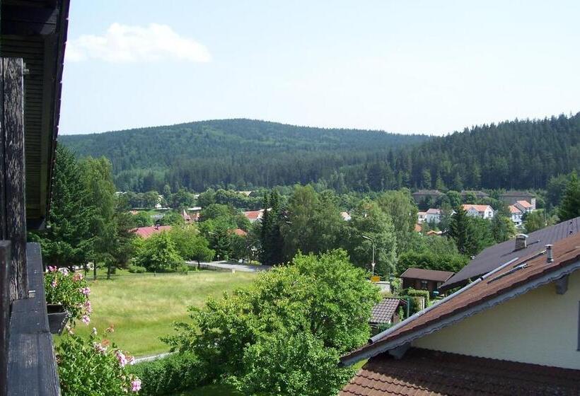 Отель Gästehaus Am Berg