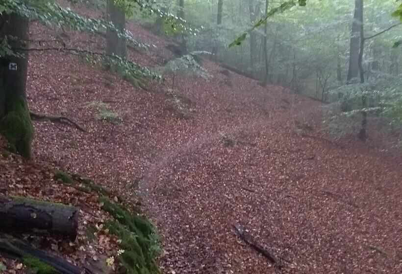 בית מלון כפרי Gästehaus Gebauer