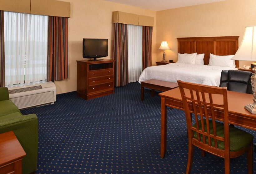 호텔 Hampton Inn & Suites Fredericksburg South