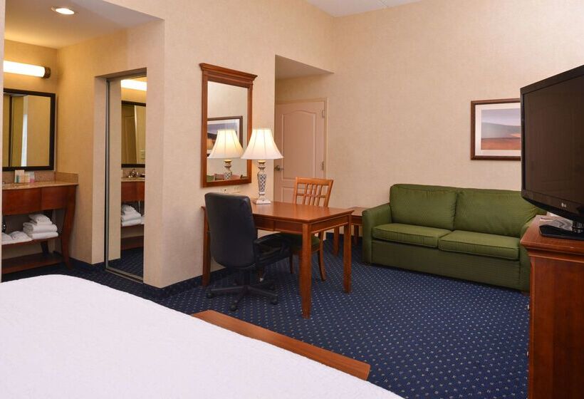 호텔 Hampton Inn & Suites Fredericksburg South