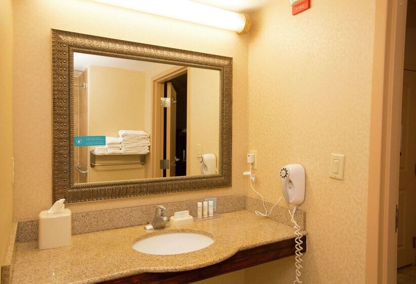 酒店 Hampton Inn & Suites Houston   Rosenberg
