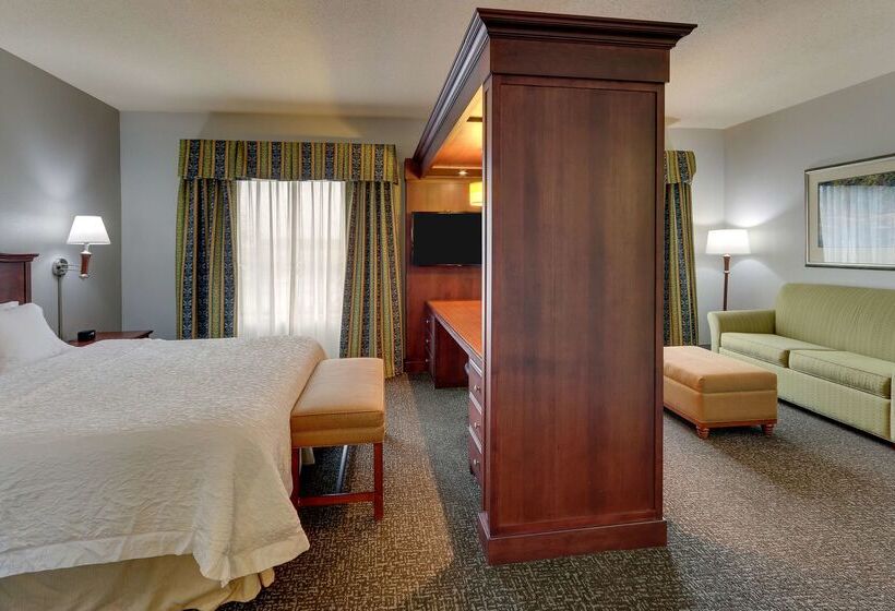 فندق Hampton Inn & Suites Indianapolis Airport