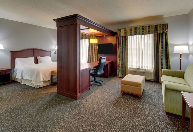 בית מלון כפרי Hampton Inn & Suites Indianapolis Airport