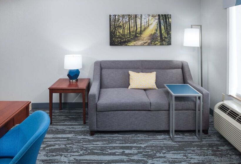 فندق Hampton Inn & Suites Jackson