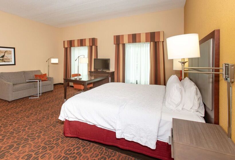 فندق Hampton Inn Suites Jacksonville Airport