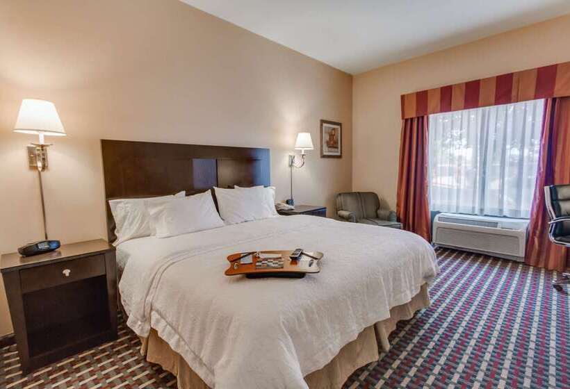 هتل Hampton Inn & Suites Las Cruces I 25
