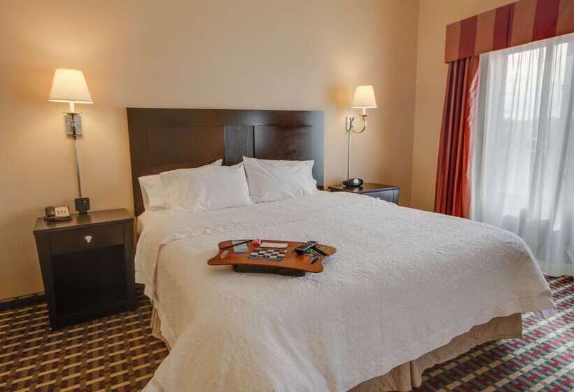 فندق Hampton Inn & Suites Las Cruces I 25
