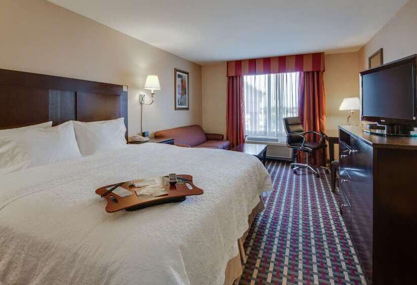 فندق Hampton Inn & Suites Las Cruces I 25