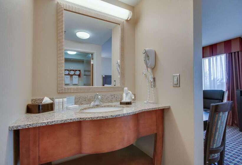 فندق Hampton Inn & Suites Las Cruces I 25