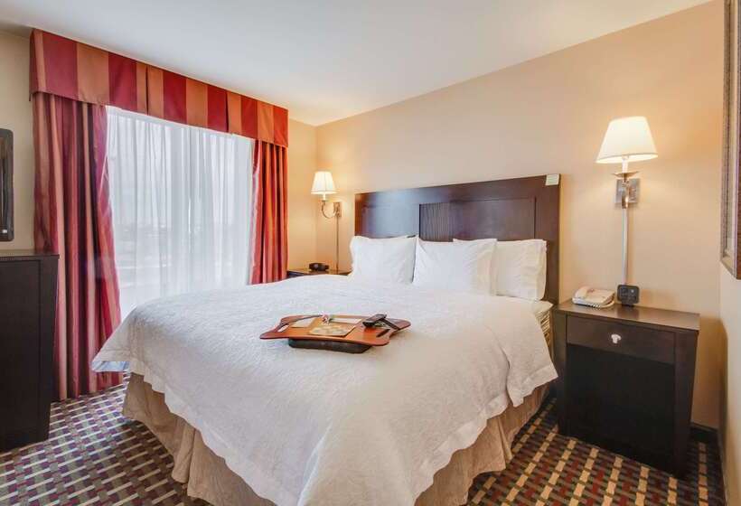 هتل Hampton Inn & Suites Las Cruces I 25