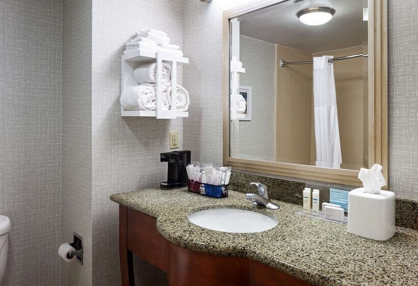 ホテル Hampton Inn & Suites Mobile I 65@ Airport Blvd