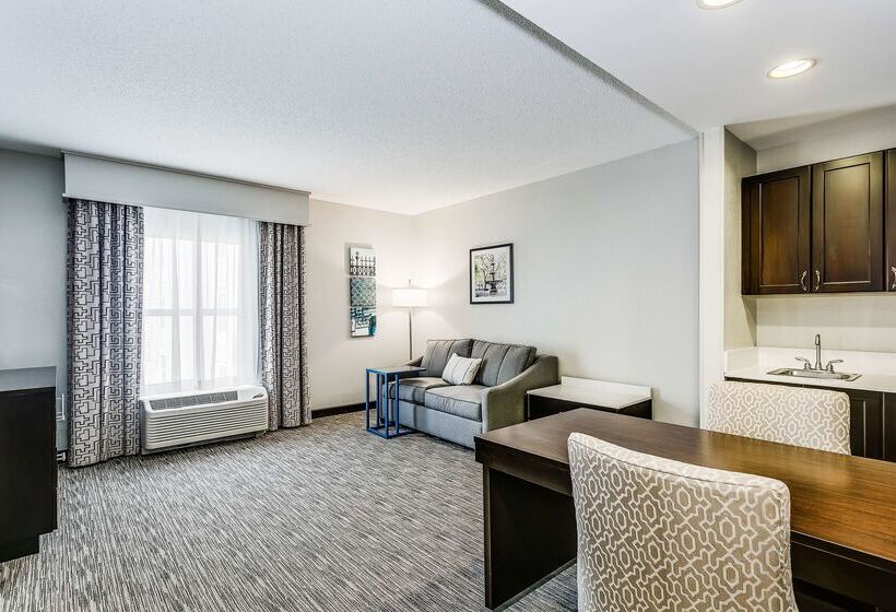 ホテル Hampton Inn & Suites Mobile  Downtown Historic District