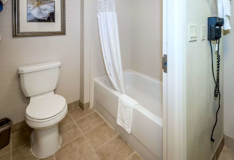 酒店 Hampton Inn & Suites Montgomery Downtown