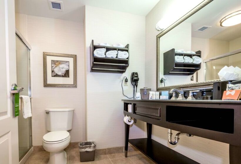 酒店 Hampton Inn & Suites Montgomery Downtown