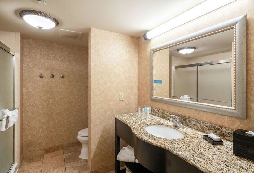 فندق Hampton Inn & Suites Murfreesboro