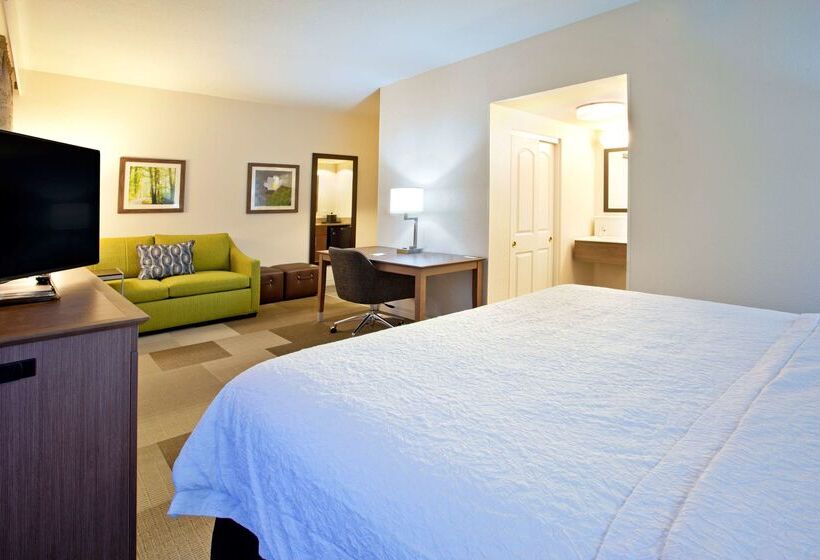 فندق Hampton Inn & Suites Nashville Smyrna