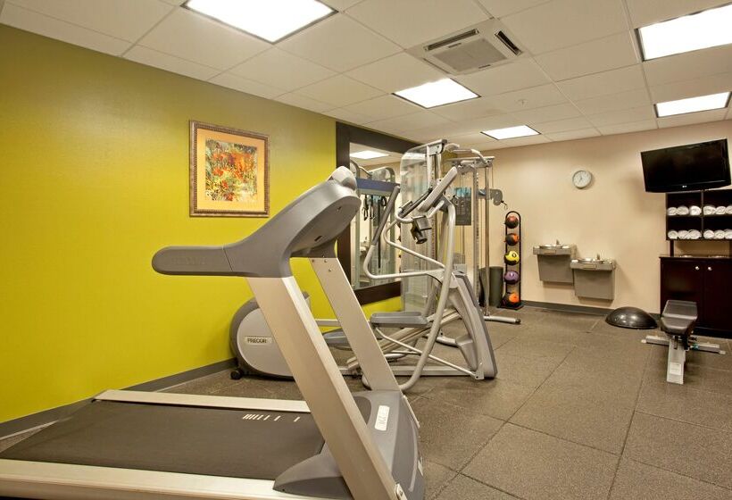 فندق Hampton Inn & Suites Nashville Smyrna