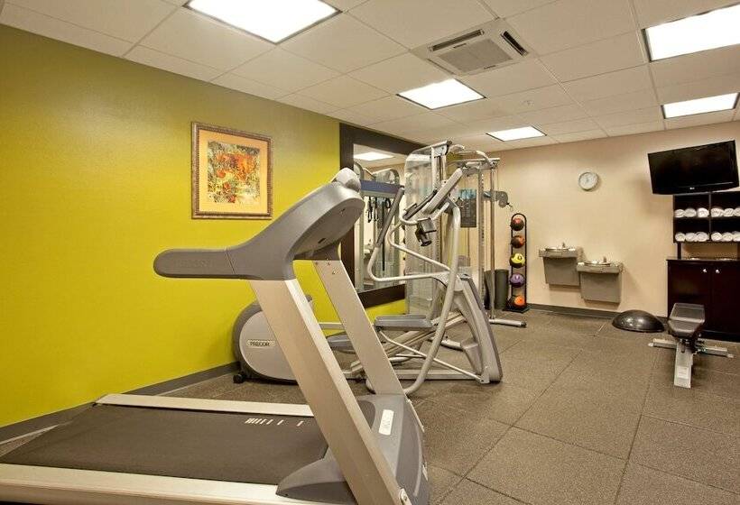 فندق Hampton Inn & Suites Nashville Smyrna